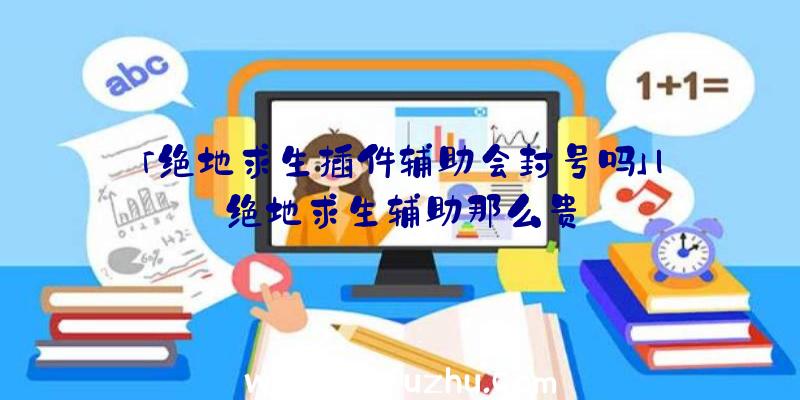 「绝地求生插件辅助会封号吗」|绝地求生辅助那么贵